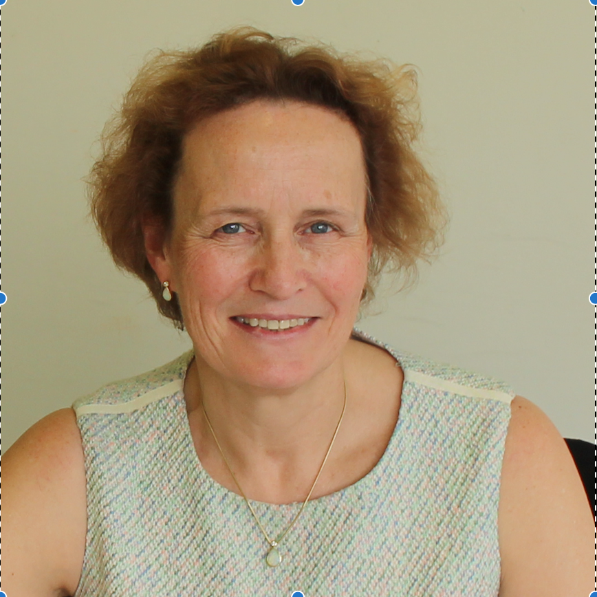 Kathy PritchardJones Elsevier Researcher Academy